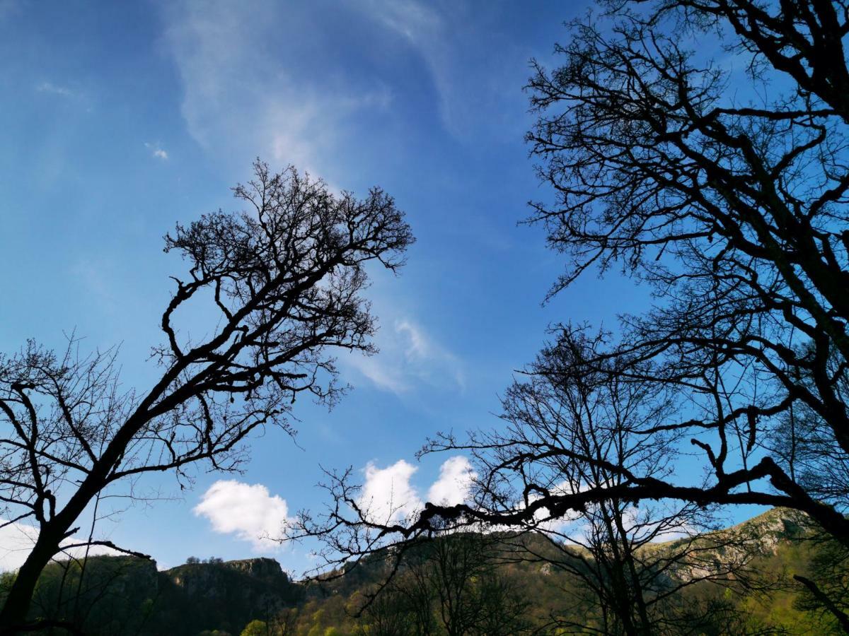 Hotel Vanatun, Haghartsin Monastery Teghut Екстер'єр фото